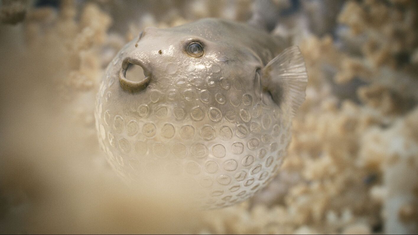 Was bedeutet es, einen Oscar zu gewinnen?